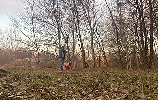 Pet-play - Winter Walk
