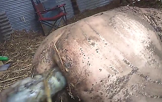 Filthy Farmboy Plays Rough in the Mud with a Thick Dildo